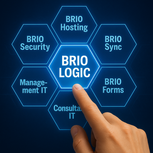 BrioLogic IT Solutions